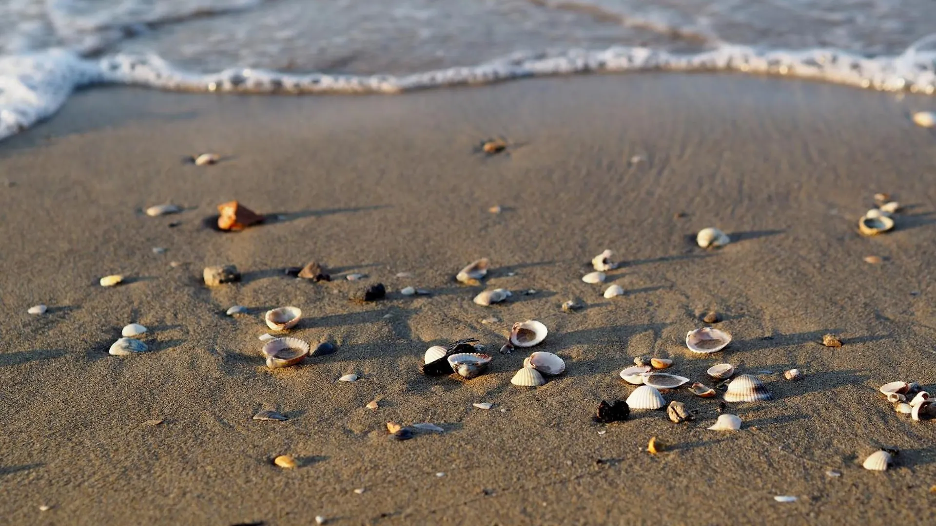 Great One Bedroom Accommodation Close To The Sea Bibione 0*,
